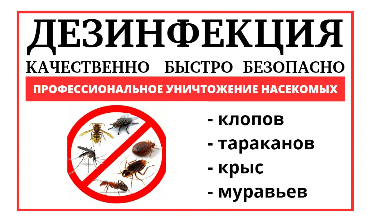 Дезинсекторы Москва - Вызывать на дом дезинсекцию в Москве - Дезинсекция квартиры в Москве
