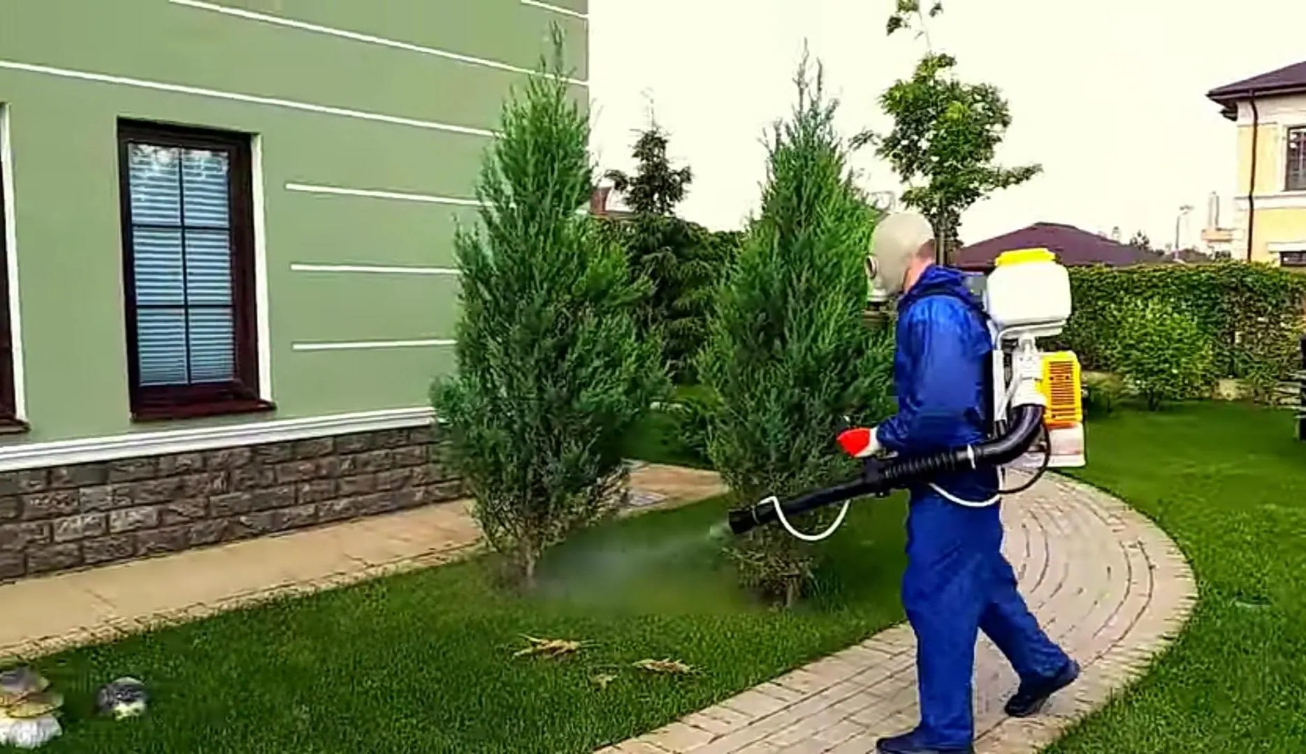 Обезвреживание крыс