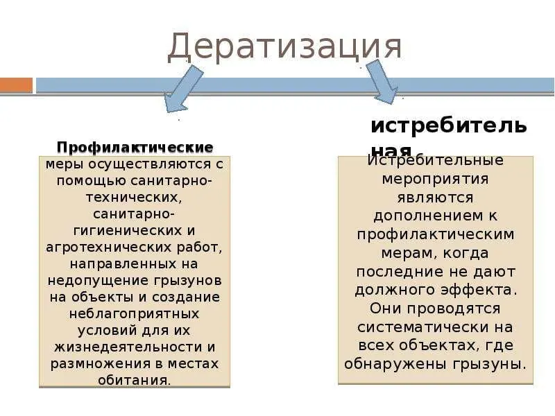 Уничтожение грызунов в Москве - Дератизация цены - Прайсы дератизация