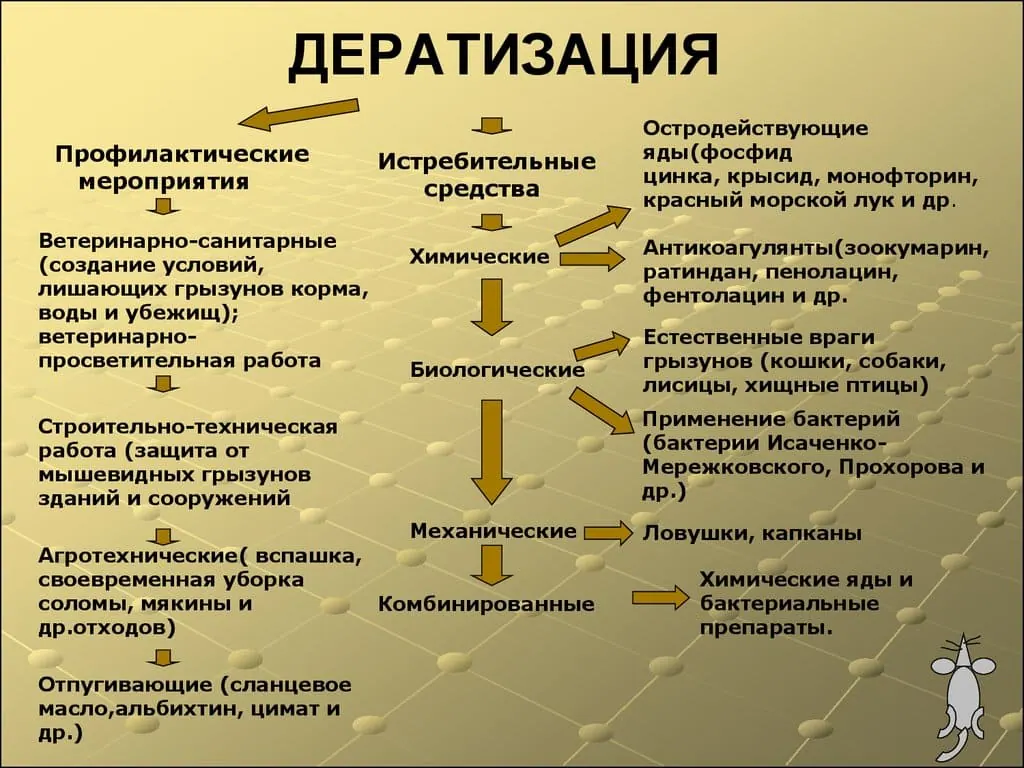 Дератизация дома - Дератизация квартир - Дератизация складов, ангаров