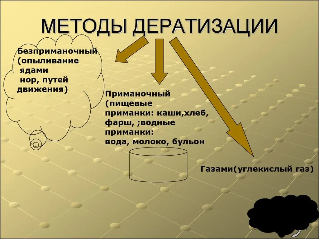 Организации проводящие дератизацию - Уничтожение грызунов дератизация - Дератизация Москва